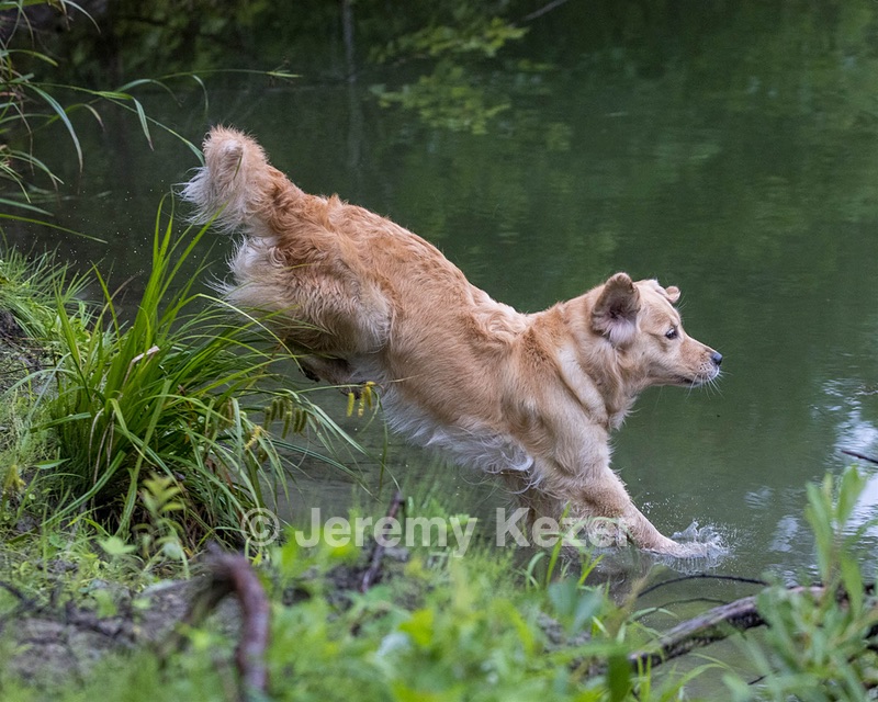 Skeeter Morgan