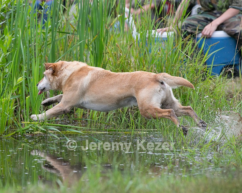 20130713-MHB2-0016.jpg
