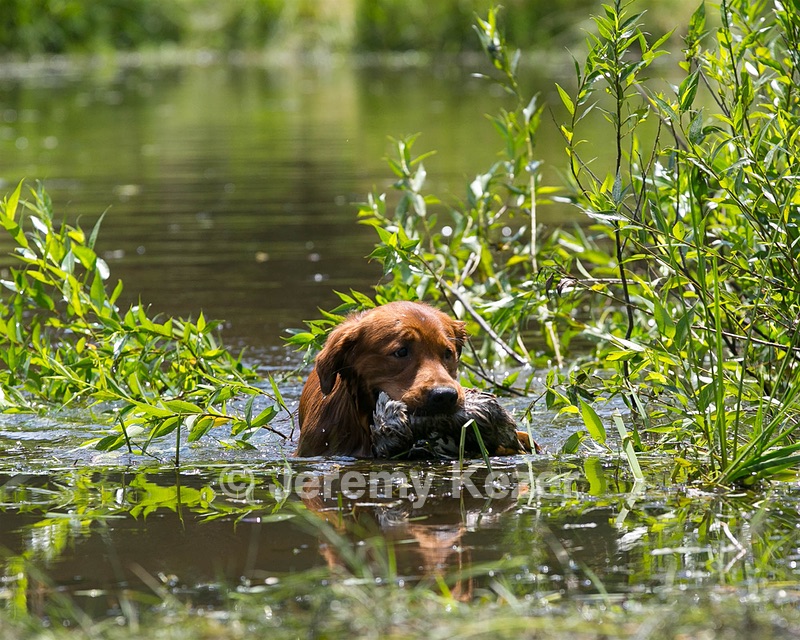 20130714-MHB2-0087.jpg
