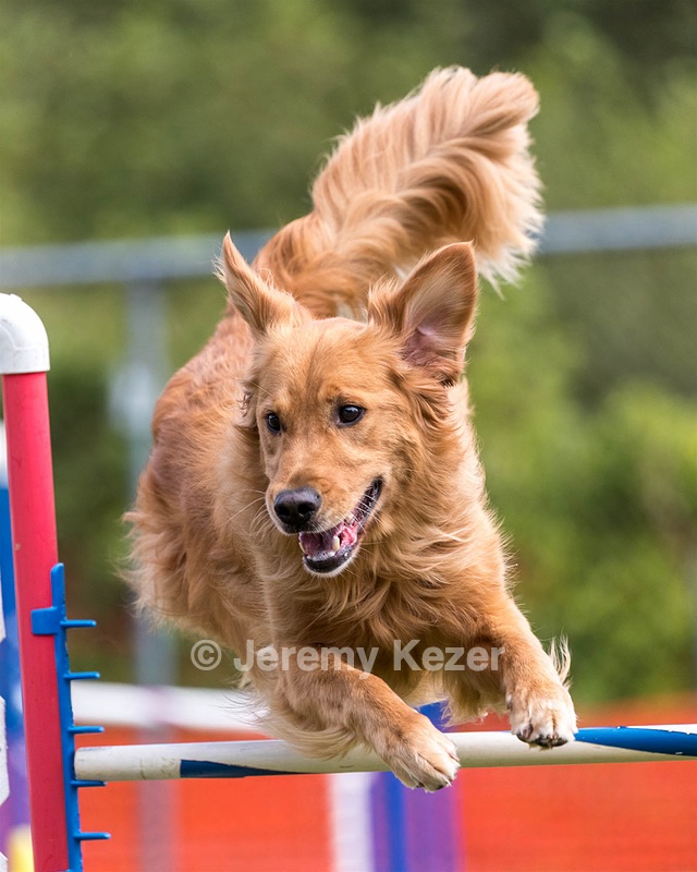 Tazer Kaplan