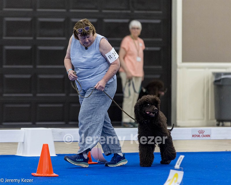 R14 - CH LANDACRE'S PLAYIN' THE FIELD SWN CGC