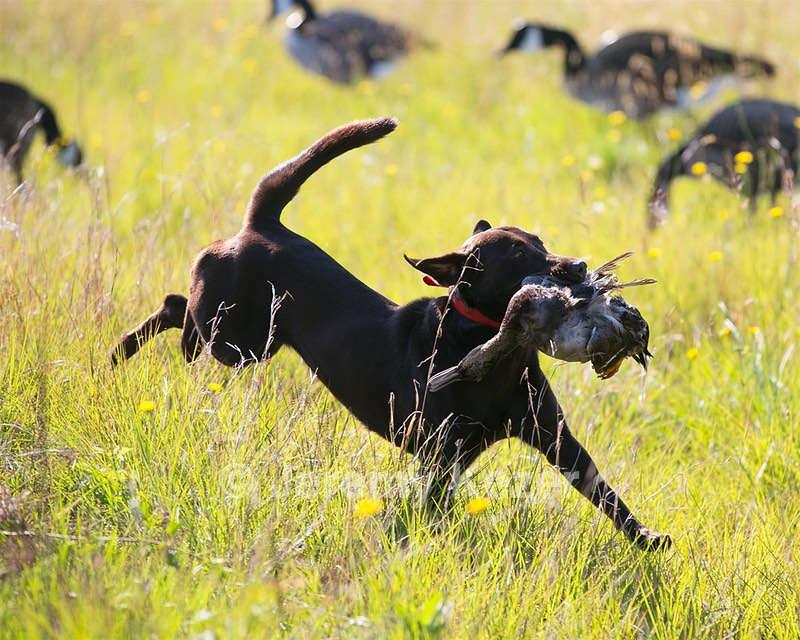 Marley Baker