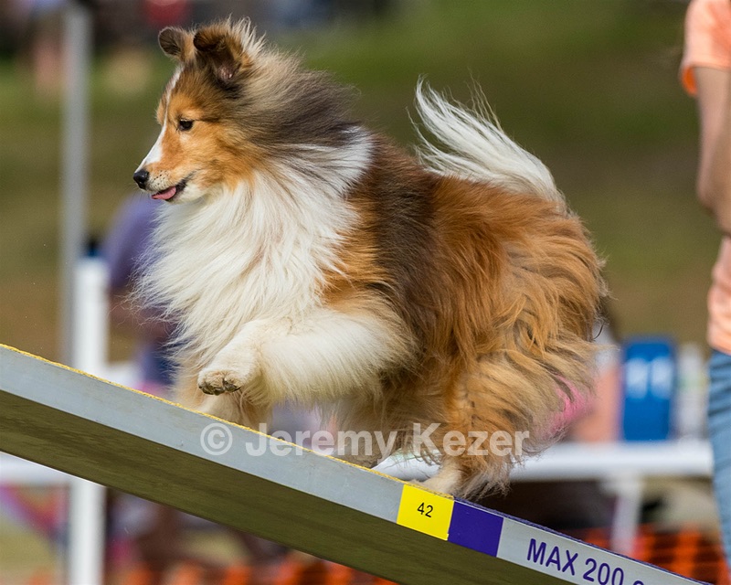 20180616-1831.jpg