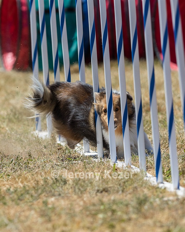 20160618-CCKC-1844.jpg