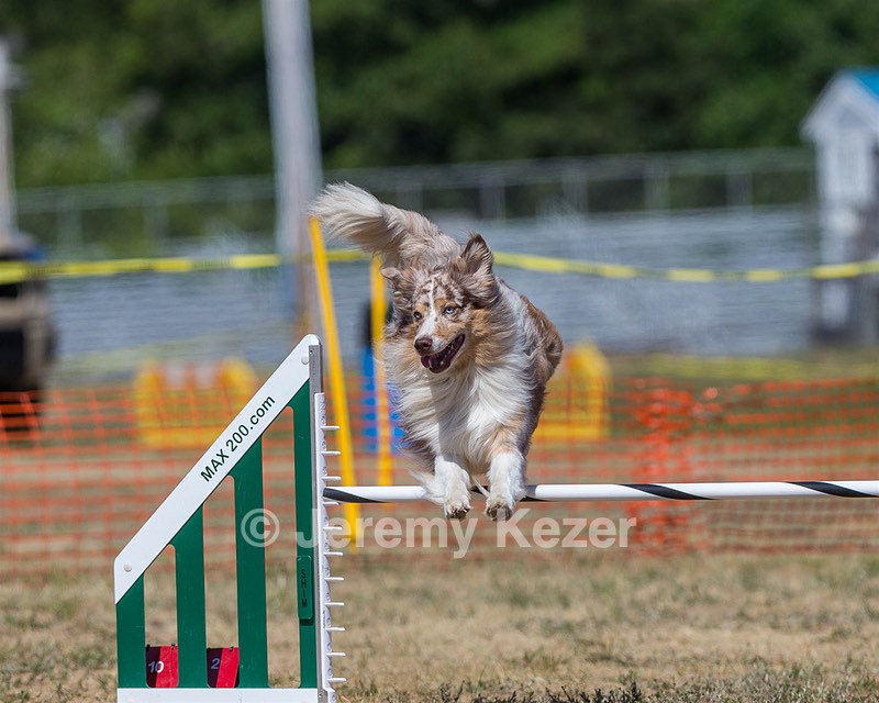 Keebler Derby