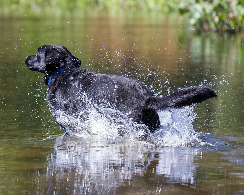 Ranger schuko