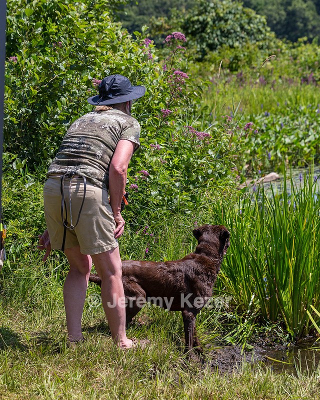 20190804-SHW-0015.jpg