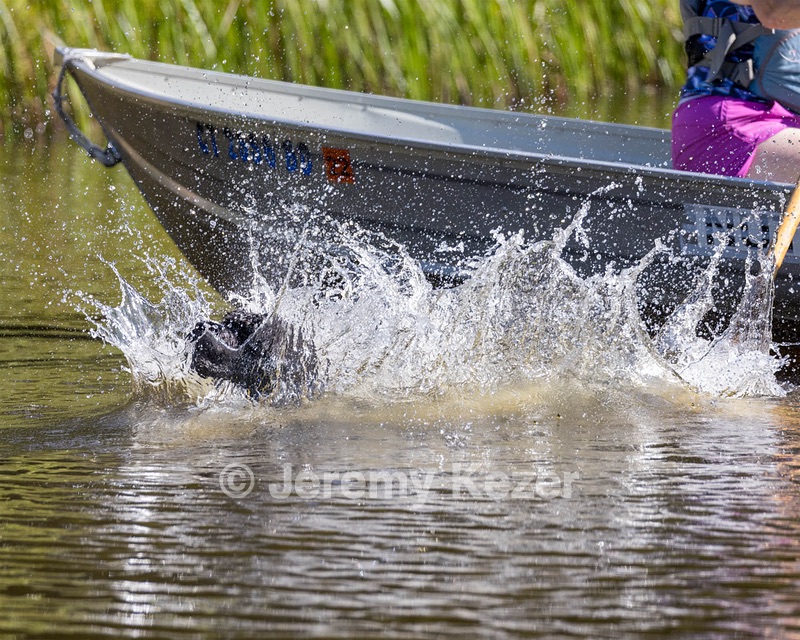 Perry