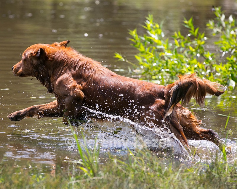 20130714-MHB2-0091.jpg