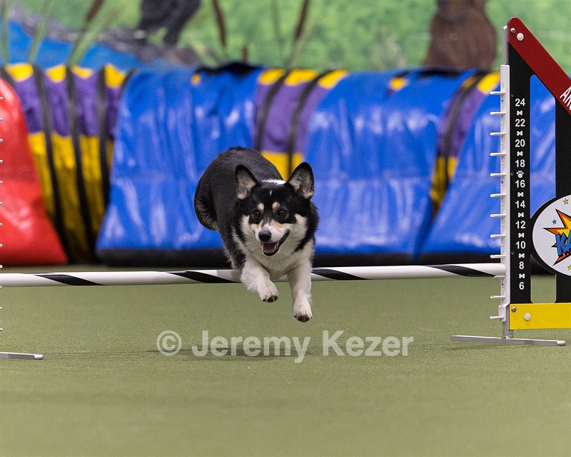 Cai Holleran
