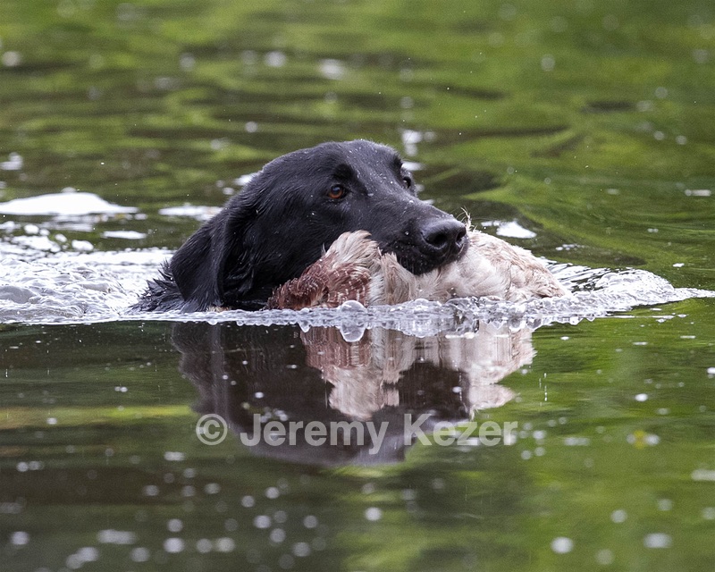 20130713-MHB2-0174.jpg