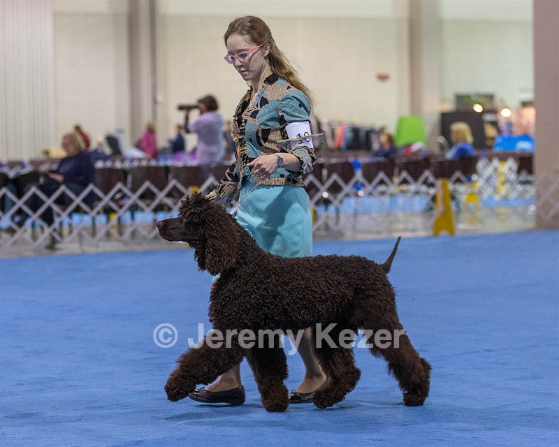 10 - Poole's Ide Touch Of Mink (Darla)