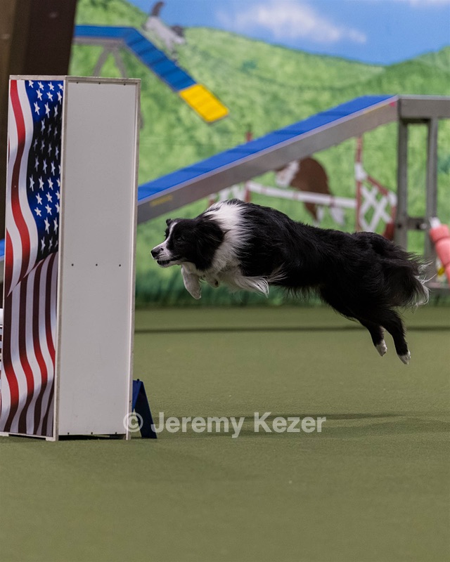 Breeze Schunk