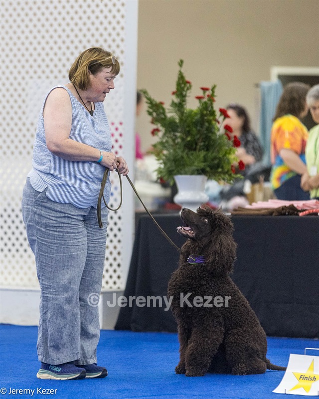 R15 - GCH CH LANDACRE'S NORDIC SAILOR DN CGC TKI