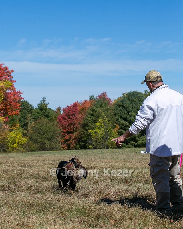 20151010-WCL-0034.jpg