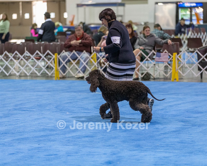 30 - GCH CH Chantico's Spirit In The Surf JH CD RA OA OAJ  NF (Selchie)