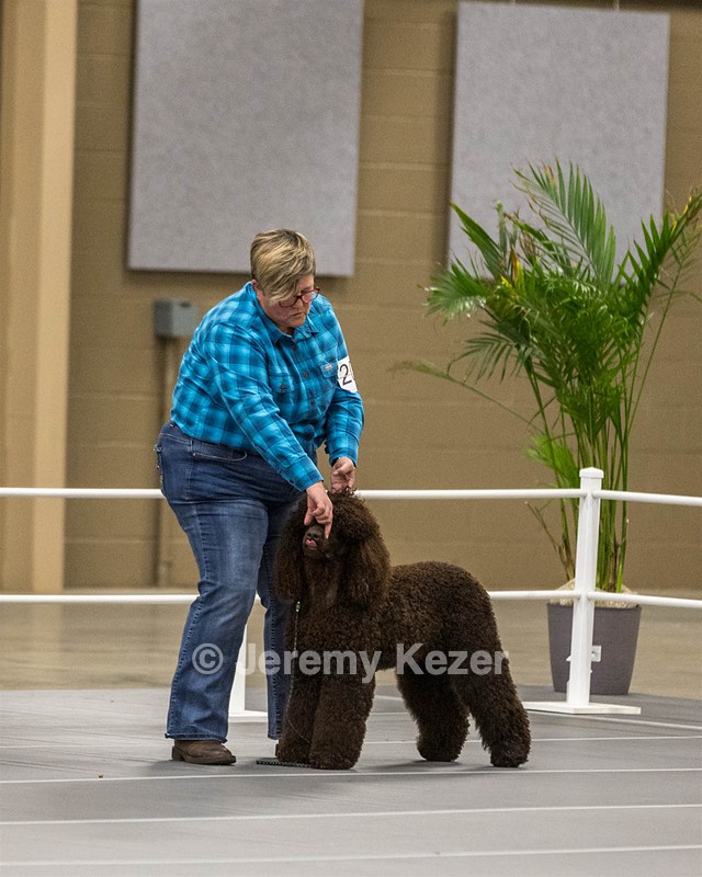 204 - CH Brekkon’s Brown Eyed Girl At Flintcrest DJ CGC TKN FTI