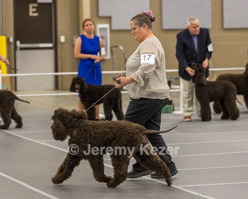 17 - Ballyhoo’s V Finnegan Mcneill BN FDC CA BCAT DS DJ CGCA TKN VHMA JH JHU WD