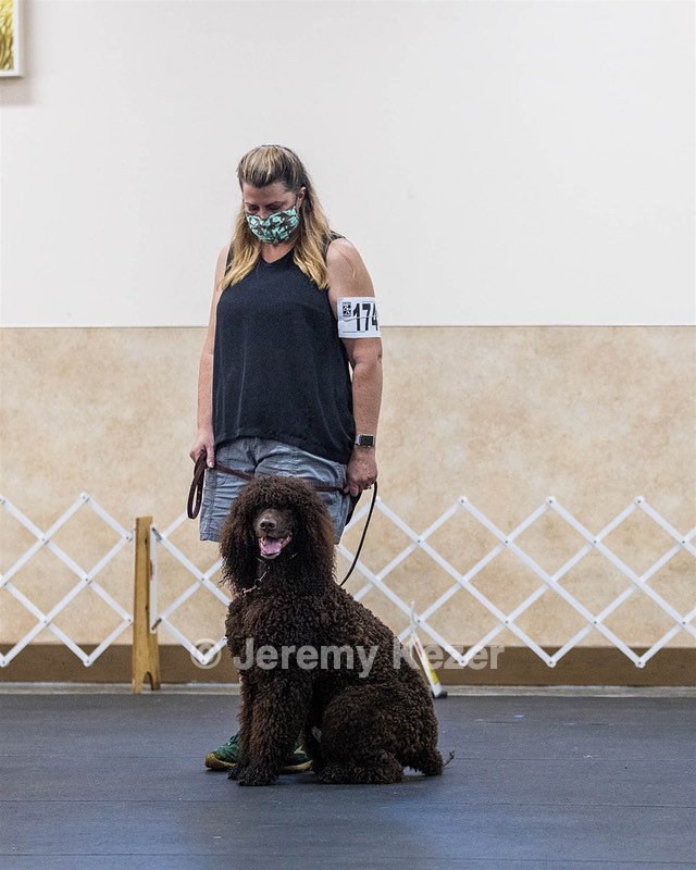 1741 - GCH CH BREKKON'S FIRST MARK CGC