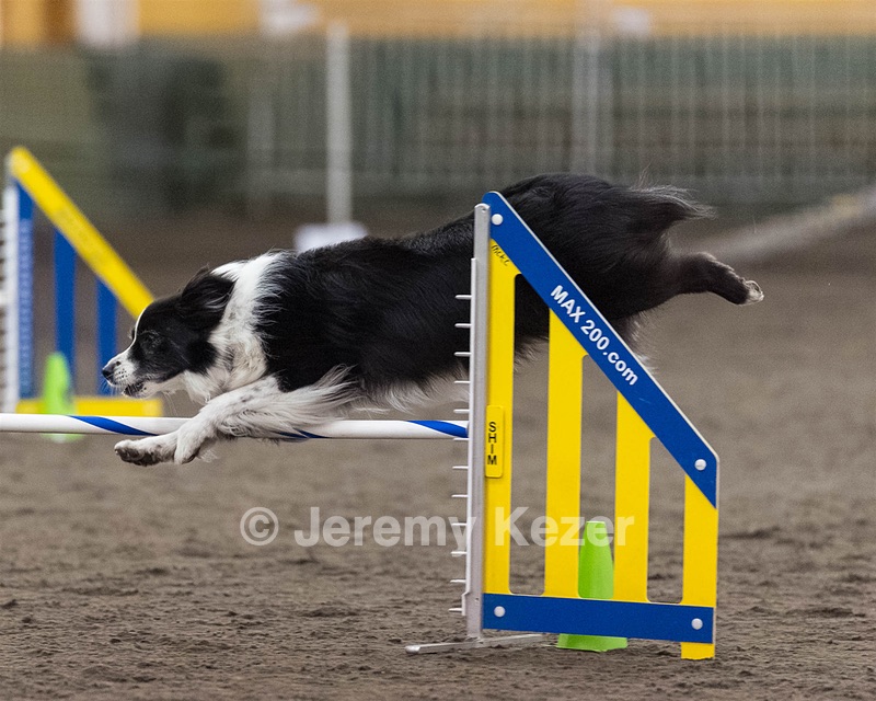 Breeze Schunk