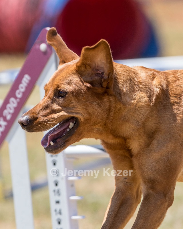 20160618-CCKC-1571.jpg