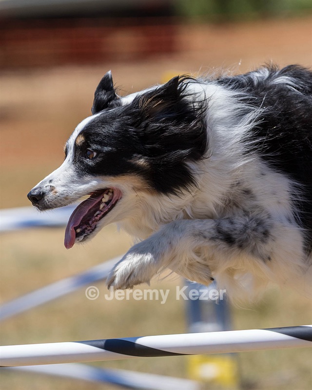 20160618-CCKC-1458.jpg