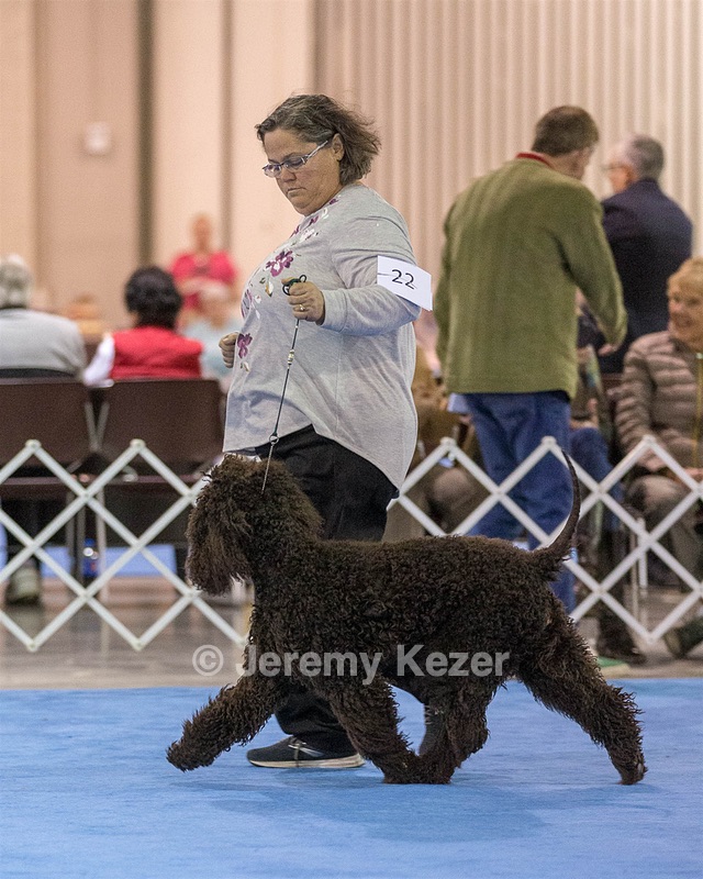 22 - D'Locks Teagan For Two (Teagan)