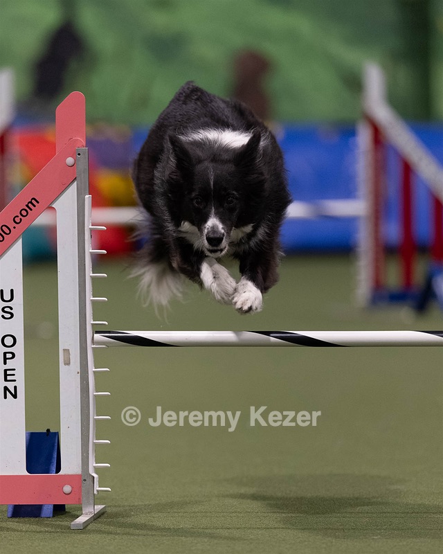 20260221-0109.jpg