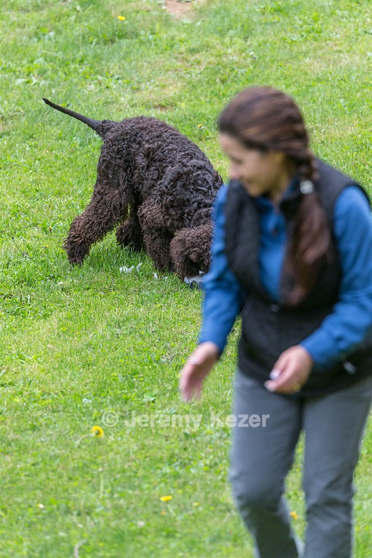 20190512-BD-0004.jpg