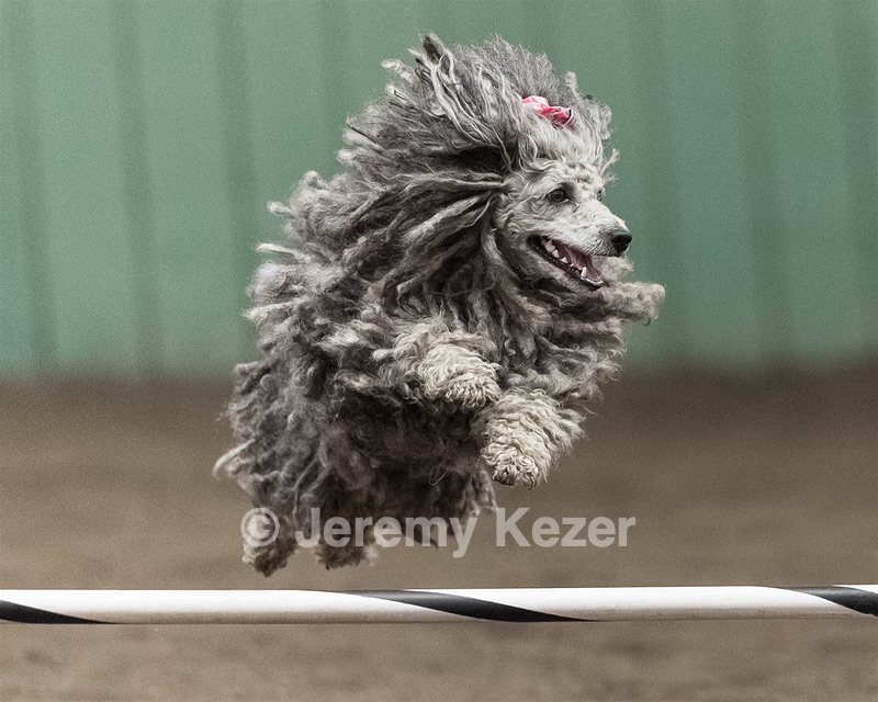 Peetie Sulewski