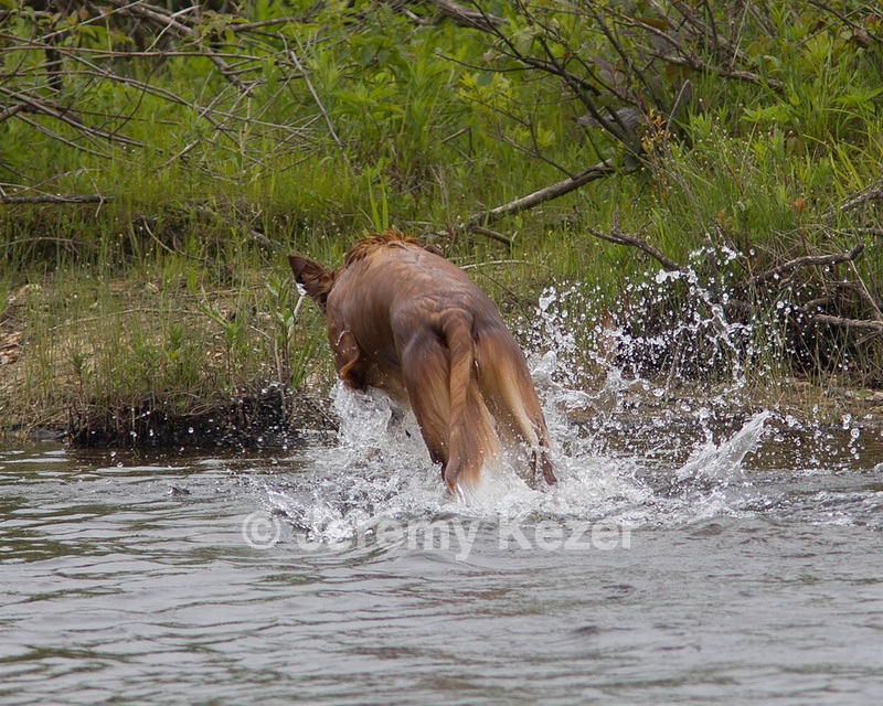 20080531-HRW-0229.jpg