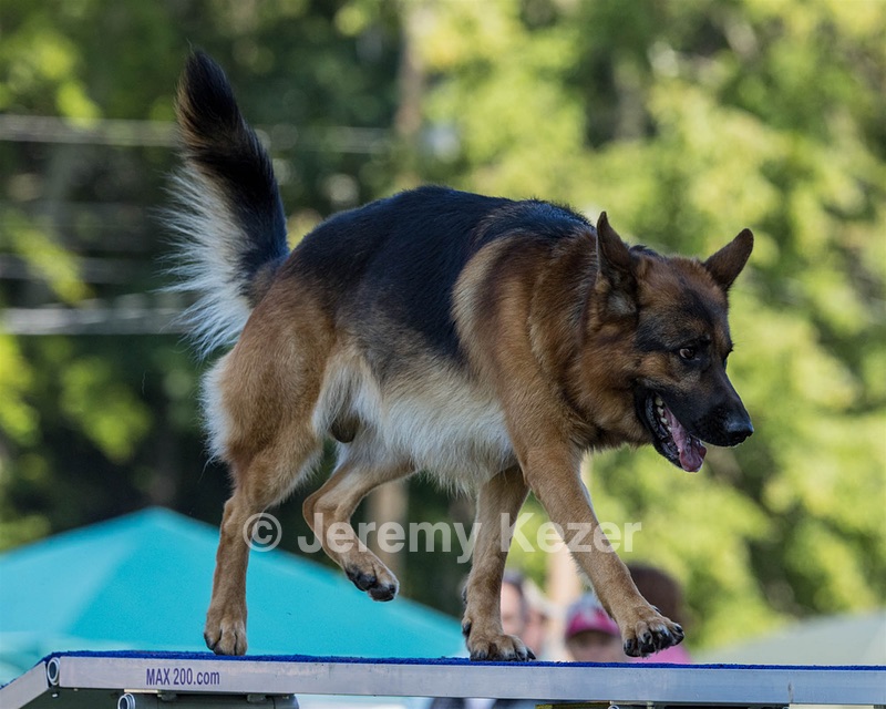 O'Connor Brogden-Burns