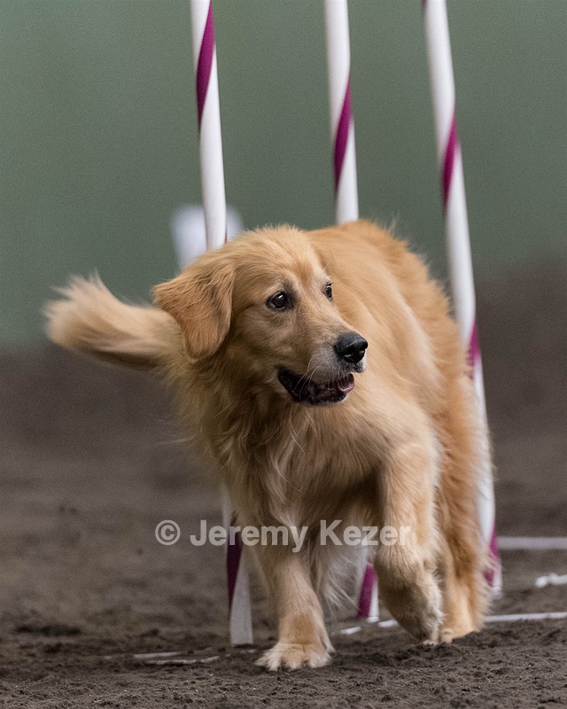 Jilly Cail