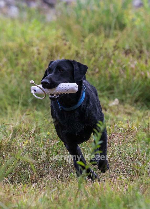 20160717-PWL-0040-2.jpg