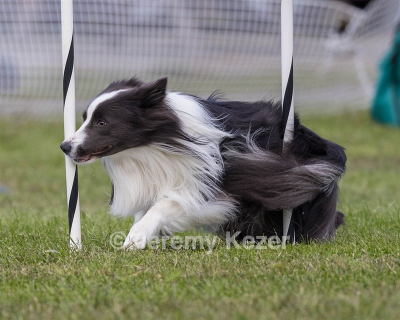 20230917-PVKC-2766.jpg