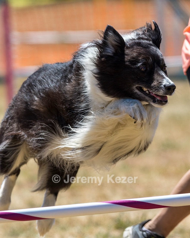 20160618-CCKC-1779.jpg