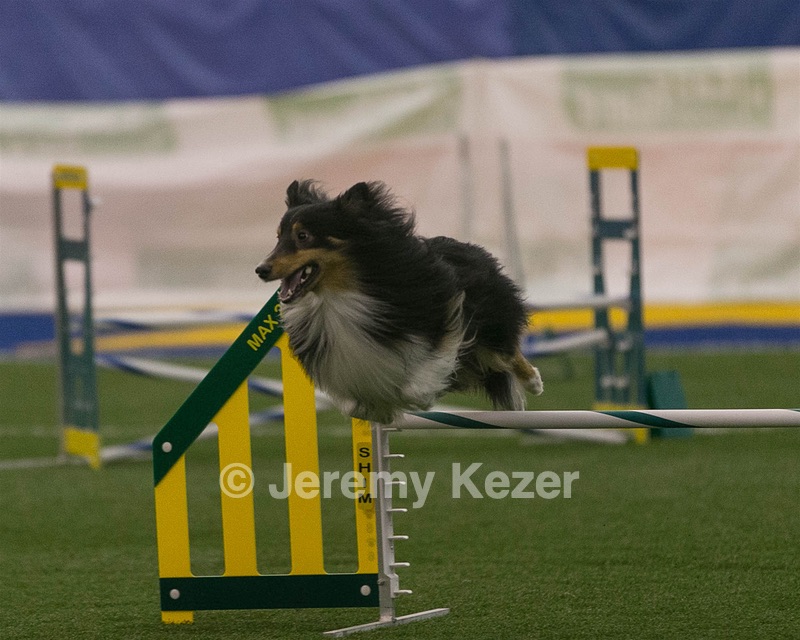 20150321-LEAP-0339.jpg