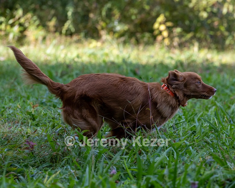 Cayenne Annunziato