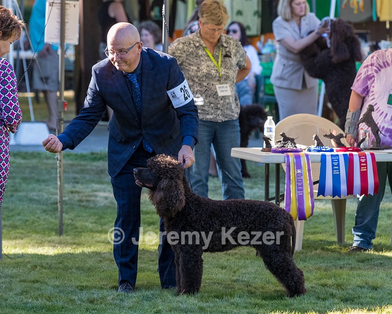 26 - H BLACKTHORN'S LASS THAT LOVES A SAILOR IN WICKLOW CD BN RM CGC