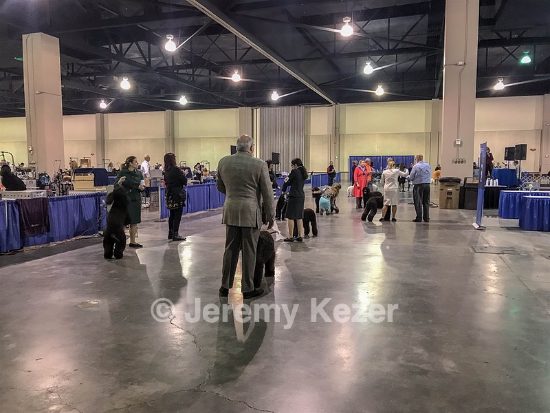 20190111-ASC-0002.jpg