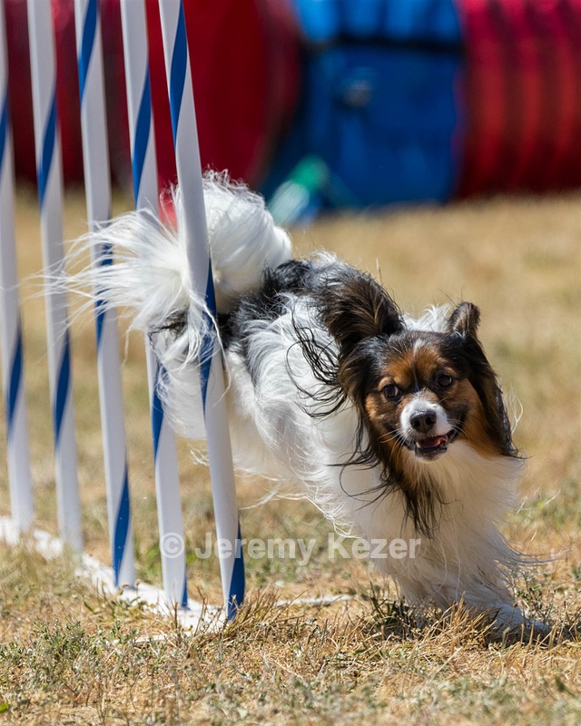 20160618-CCKC-1881.jpg