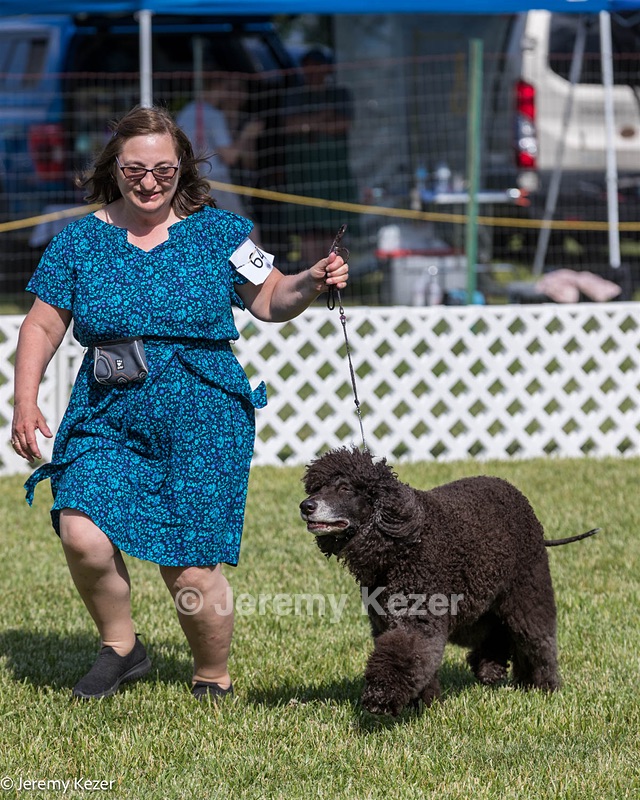 64 - CH Navarone's Absolutely Fabulous RN CGC (Edwina)