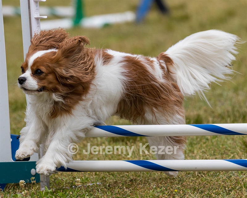 20190616-CCKC-1147.jpg