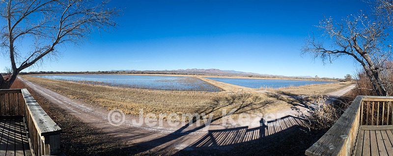 20151206-1763-Pano.jpg