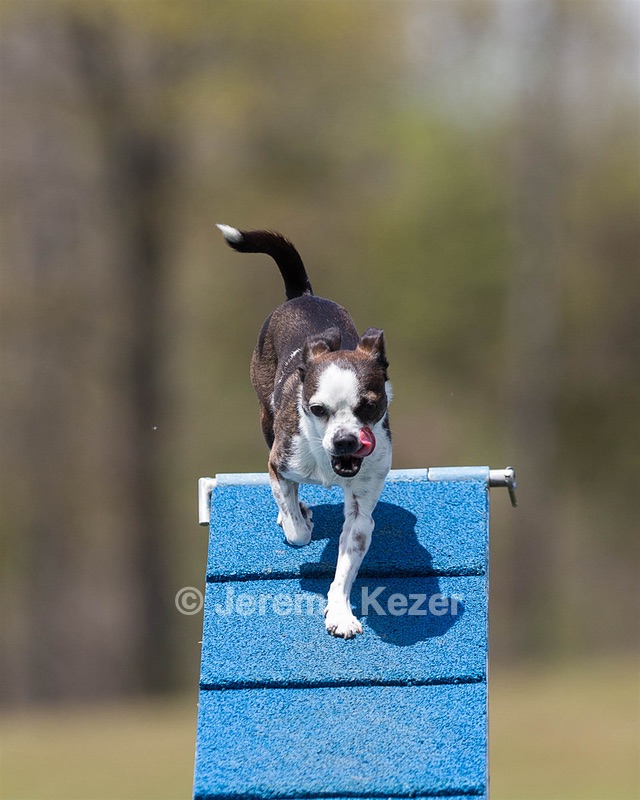 Pippa Hargrove