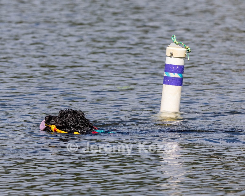 Nauti
