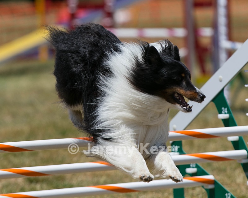 20150613-CCKC-0408.jpg