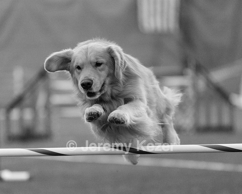 20150321-LEAP-0515-2.jpg