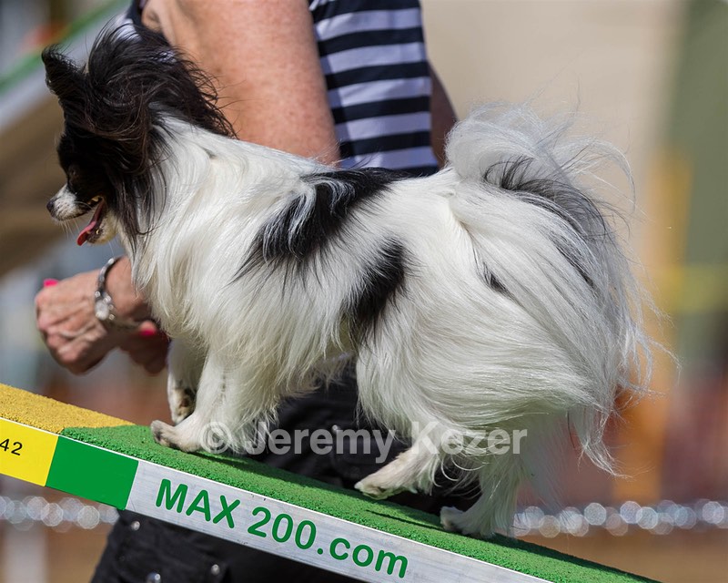 Maximus Johnson