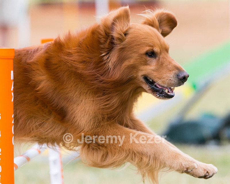 20150612-CCKC-0057.jpg